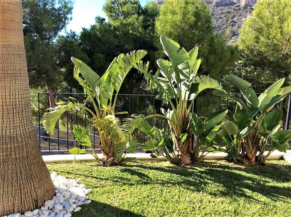 Altea Olivos G Villa Bagian luar foto